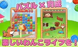 わんこライフ