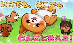 わんこライフ