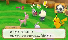 画像ギャラリー No.050のサムネイル画像 / 3DS「ポケモン超不思議のダンジョン」の新情報が公開。新機能「つながりオーブ」でポケモンを仲間にしよう