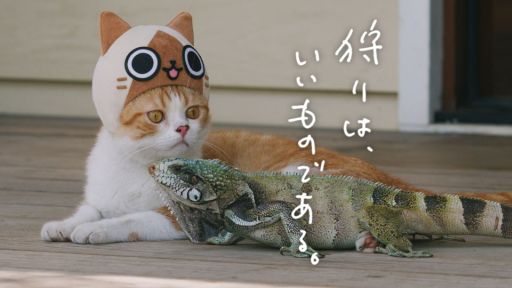 画像ギャラリー No.002のサムネイル画像 / 「ぽかぽかアイルー村DX」本物のネコを起用した実写WebCM全6話が公開に