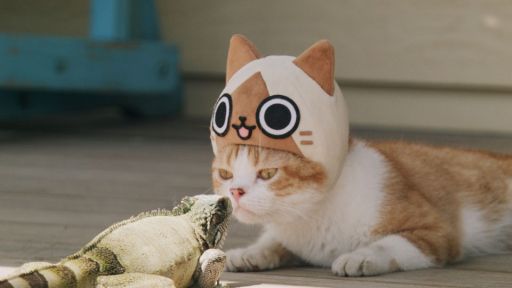 画像ギャラリー No.006のサムネイル画像 / 「ぽかぽかアイルー村DX」本物のネコを起用した実写WebCM全6話が公開に