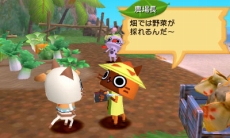画像ギャラリー No.022のサムネイル画像 / 「モンハン日記 ぽかぽかアイルー村DX」，「モンスターハンタークロス」で特典が受けられるセーブデータ連動情報を公開。アイルー村の施設も紹介