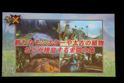 画像ギャラリー No.011のサムネイル画像 / 「モンスターハンタークロス」と「モンハン日記 ぽかぽかアイルー村DX」が発表された，ファンイベント「ハンターの集い 2015」の模様をレポート