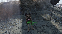 画像ギャラリー No.045のサムネイル画像 / 全世界が待望したシリーズ最新作「Fallout 4」のプレイレポート。すべてが進化したウェイストランドで,過酷な冒険と創造に明け暮れるのだ