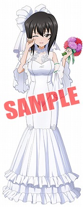 画像ギャラリー No.005のサムネイル画像 / 「ガールズ&パンツァー 戦車道大作戦!」,ジューンブライド衣装の生徒が登場