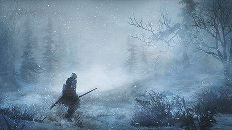画像ギャラリー No.004のサムネイル画像 / 「DARK SOULS III」のDLC第1弾「ASHES OF ARIANDEL」がついにベールを脱ぐ。さまざまなオンライン対戦を楽しめる新要素「不死闘技」の情報も