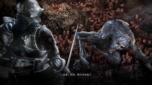 画像ギャラリー No.002のサムネイル画像 / 「DARK SOULS III」のDLC第1弾「ASHES OF ARIANDEL」を先行体験。雪原での戦いや個性的な武器，PvP向け新コンテンツなどが楽しめる