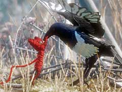 毛糸を駆使して過去を紐解く異色作「UNRAVEL」。見た目のかわいさとは裏腹に，コアゲーマーでもしっかり楽しめる良質なパズル＆アクションだ