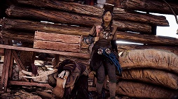 画像ギャラリー No.113のサムネイル画像 / カメラマンによる「Horizon Zero Dawn」百景。充実のPhoto Modeでスクリーンショット撮影がたいへん捗る