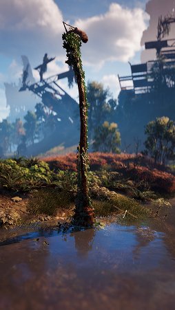 画像ギャラリー No.105のサムネイル画像 / カメラマンによる「Horizon Zero Dawn」百景第2弾。Ver 1.20でさらに強化されたPhoto Modeを試す
