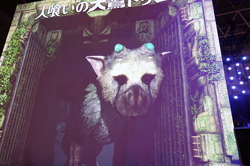 画像ギャラリー No.006のサムネイル画像 / ［TGS 2015］原寸大のトリコとたわむれる夢の体験。SCEブースにある「人喰いの大鷲トリコ」の巨大スクリーンを見逃すな