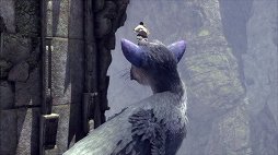 画像ギャラリー No.004のサムネイル画像 / 気まぐれなトリコがものすごく可愛い。「人喰いの大鷲トリコ」初公開のシーンをプレイ動画と合わせて紹介