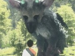少年と大鷲の絆が，コントローラを通して感じられる。「人喰いの大鷲トリコ」をレビュー