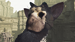 画像ギャラリー No.003のサムネイル画像 / トリコがそこに“いる”。「The Last Guardian VR」は少年視点でトリコの可愛さや遺跡の高さが堪能できる