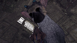 画像ギャラリー No.005のサムネイル画像 / トリコがそこに“いる”。「The Last Guardian VR」は少年視点でトリコの可愛さや遺跡の高さが堪能できる