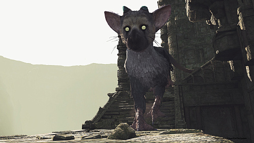 画像ギャラリー No.012のサムネイル画像 / トリコがそこに“いる”。「The Last Guardian VR」は少年視点でトリコの可愛さや遺跡の高さが堪能できる