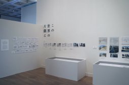 画像ギャラリー No.004のサムネイル画像 / 開催中の「第21回 文化庁メディア芸術祭作品展」会場で，エンターテインメント部門の大賞を受賞した「人喰いの大鷲トリコ」の上田文人氏に感想を聞いた