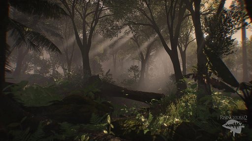 画像ギャラリー No.004のサムネイル画像 / ベトナム戦争を描いた新作FPS「Rising Storm 2: Vietnam」の開発状況をTripwire Interactiveが久々に報告