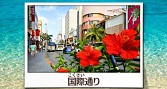 画像ギャラリー No.009のサムネイル画像 / 「鉄道にっぽん!路線たび ゆいレール編」の発売日が8月27日に決定