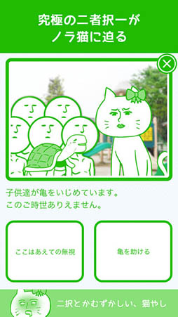 ある猫の一日