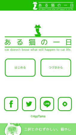 ある猫の一日