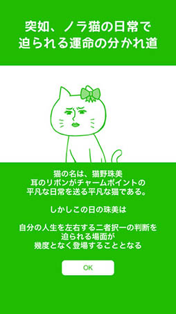 ある猫の一日