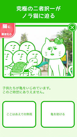 ある猫の一日