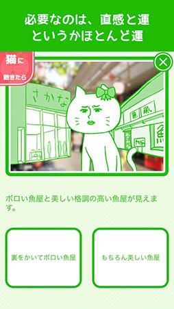 ある猫の一日
