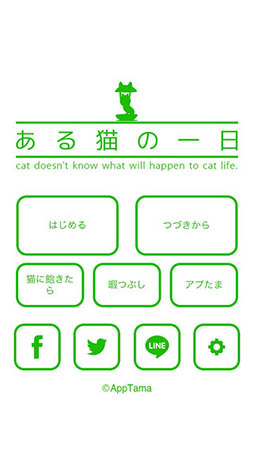 ある猫の一日