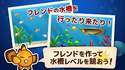 フィッシュガーデン