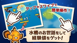フィッシュガーデン
