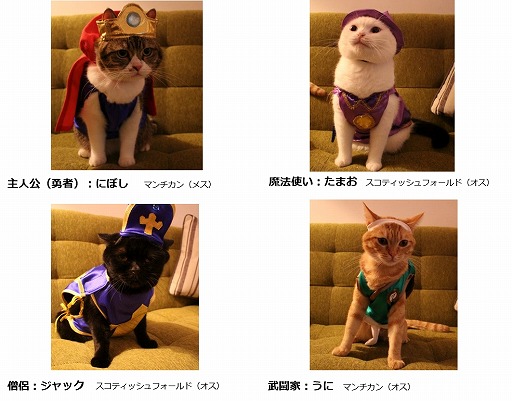 画像ギャラリー No.001のサムネイル画像 / 「星ドラ」,猫たちが勇者に扮したWebムービーを2月22日の猫の日に公開