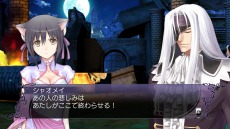 画像ギャラリー No.009のサムネイル画像 / 「ブレードアークス from シャイニングEX」，レイジ（CV：保志総一朗）とシャオメイ（CV：斎藤千和）のストーリー情報が公開に