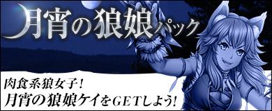 画像ギャラリー No.003のサムネイル画像 / 「ヴェルストライズ」，新URカード「月宵の狼娘ケイ」を収録した期間限定パックが登場