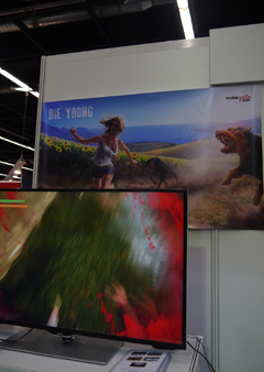 画像ギャラリー No.001のサムネイル画像 / ［gamescom］パルクールを駆使して野犬から逃げ回る。一人称視点のオープンワールド型アクション「Die Young」に注目