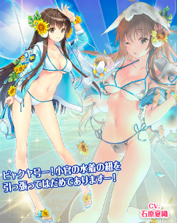 画像ギャラリー No.016のサムネイル画像 / 「編隊少女」,水着★5アルバータ,★4風早などが登場