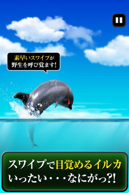 画像ギャラリー No.002のサムネイル画像 / イルカを立たせて泳がせるAndroid「イルカって立つんでしょ？」が配信開始