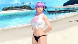 画像ギャラリー No.003のサムネイル画像 / 「DEAD OR ALIVE FESTIVAL 2016」来場者特典コスチュームの画像が公開