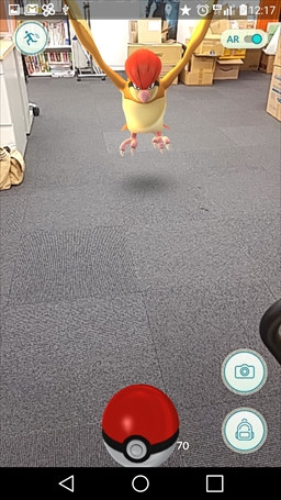 画像ギャラリー No.018のサムネイル画像 / 今日から始める「Pokémon GO」――新米トレーナーなら覚えておきたいプレイサイクルやポケモンを捕まえるコツを解説