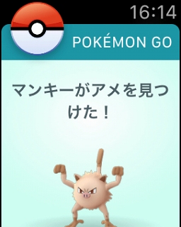 画像ギャラリー No.021のサムネイル画像 / 遊び込んだプレイヤーほどほしくなるApple Watch版「Pokémon GO」。Pokémon GO Plusと機能を比較しながらベストな使い方を攻略してみた