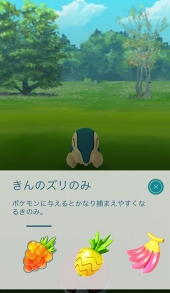 画像ギャラリー No.032のサムネイル画像 / 「Pokémon GO」,大型アップデートでジムが生まれ変わる。レイドバトルも披露されたプレス向けデモツアーをレポート