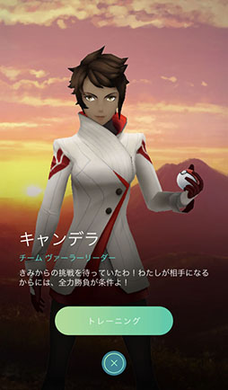 画像ギャラリー No.045のサムネイル画像 / 今からでも,また始めても楽しい! 変化を続ける「ポケモンGO」の“今”を「ポケットモンスター Let's Go! ピカチュウ・Let's Go! イーブイ」との連動方法とともに紹介