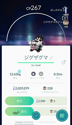 画像ギャラリー No.008のサムネイル画像 / 2020年の「ポケモンGO」で起きた主なトピックをおさらい。リリース後初のレベルアップのバランス調整や新地方の実装など進化が止まらない!