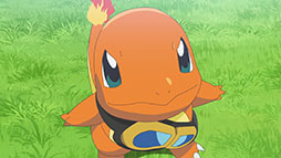 画像ギャラリー No.006のサムネイル画像 / アニポケと「ポケモンGO」のコラボエピソードが9月18日に放送決定。アプリ内では「テレビアニメコラボ」イベントが9月16日にスタート