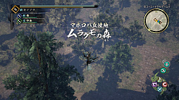 画像ギャラリー No.006のサムネイル画像 / 「討鬼伝2」のプレイレポートをお届け。オープンワールドを舞台にしたハンティングアクションの手触りは?