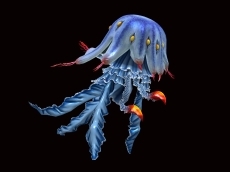 画像ギャラリー No.005のサムネイル画像 / 「ソードアート・オンライン ―ホロウ・リアリゼーション―」登場キャラのバトルやイベントシーンが新たに公開