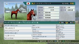 画像ギャラリー No.007のサムネイル画像 / 「Winning Post 8 2016」,多彩な毛色名鑑やメンコの販売を開始