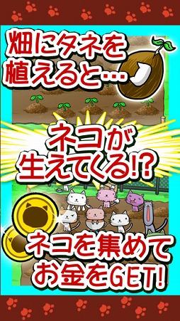 ねこばたけ