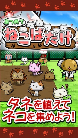 ねこばたけ