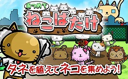 ねこばたけ